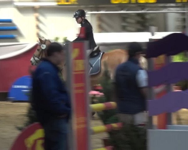 Springturnier Eicherloh - Laurent 2016