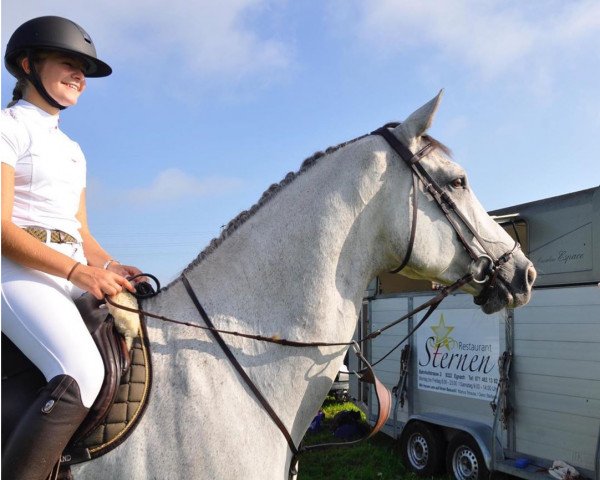 Springpferd Clooney (Holsteiner, 2012, von Corrado I)