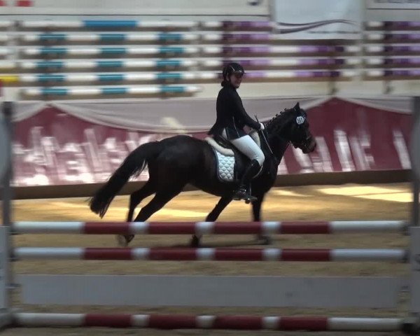 Springturnier Eicherloh - Laurent 2016