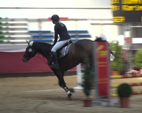 Springturnier Eicherloh - Laurent 2016