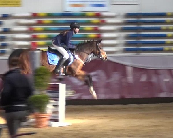 Springturnier Eicherloh - Laurent 2016