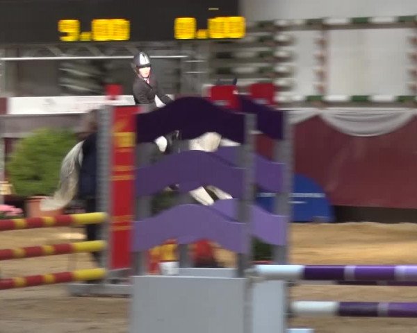 Springturnier Eicherloh - Laurent 2016