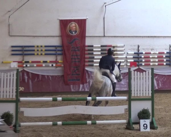 Springturnier Eicherloh - Laurent 2016