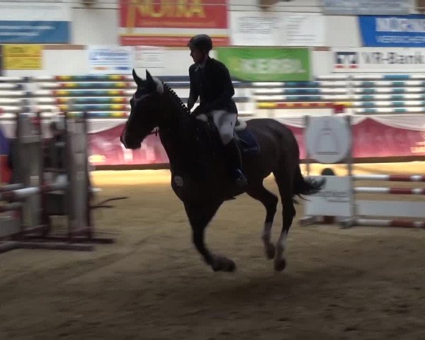 Springturnier Eicherloh - Laurent 2016