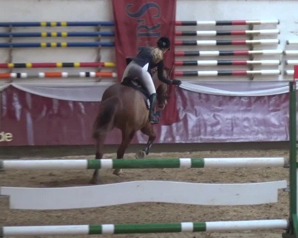 Springturnier Eicherloh - Laurent 2016