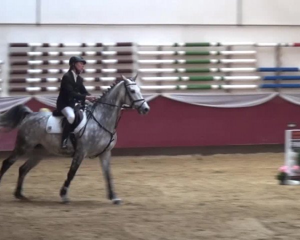 Springturnier Eicherloh - Laurent 2016
