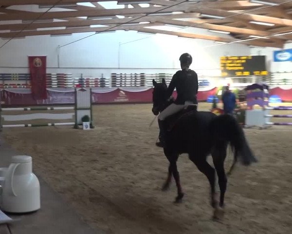 Springturnier Eicherloh - Laurent 2016