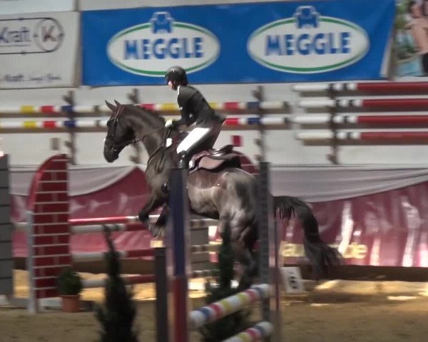 Springturnier Eicherloh - Laurent 2016