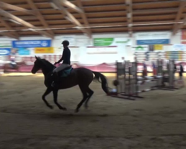 Springturnier Eicherloh - Laurent 2016