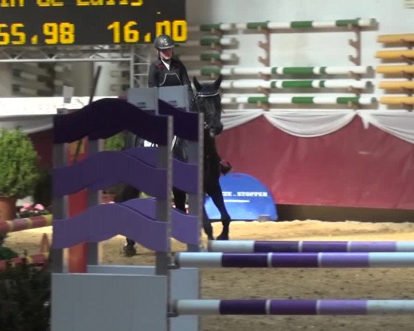 Springturnier Eicherloh - Laurent 2016