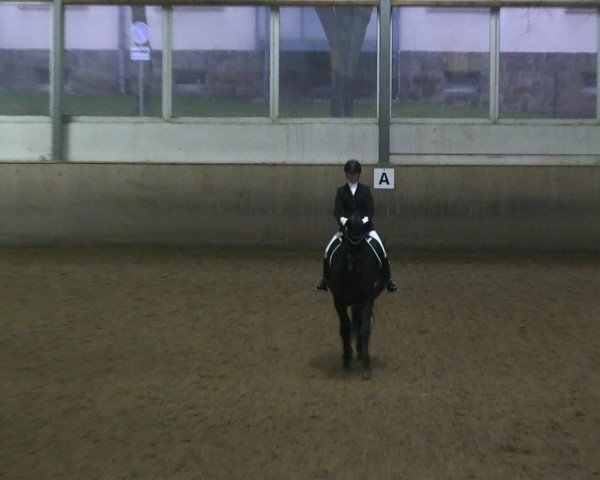 Hallen-Reitturnier Iserlohn 2016