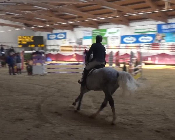 Springturnier Eicherloh - Laurent 2016