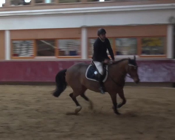 Springturnier Eicherloh - Laurent 2016
