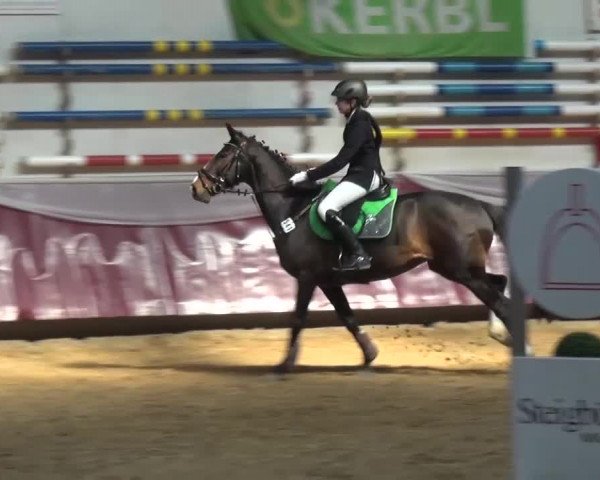 Springturnier Eicherloh - Laurent 2016