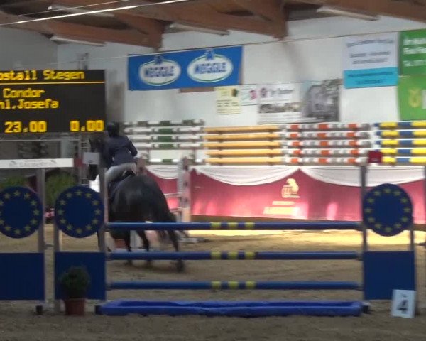 Springturnier Eicherloh - Laurent 2016