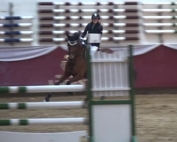 Springturnier Eicherloh - Laurent 2016
