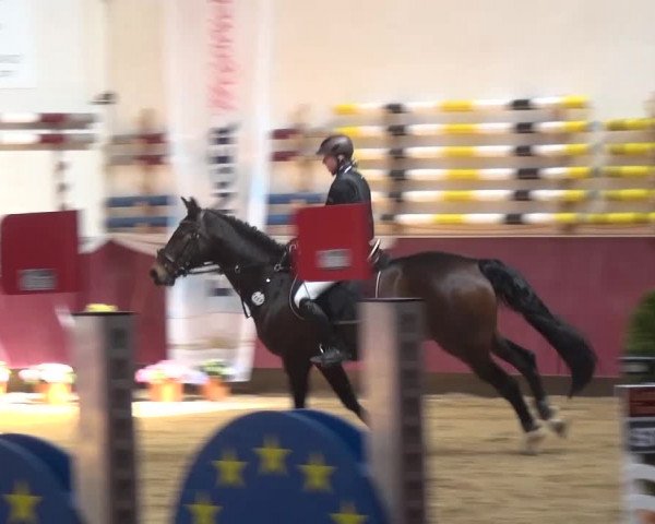 Springturnier Eicherloh - Laurent 2016