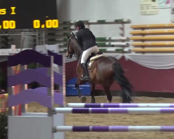 Springturnier Eicherloh - Laurent 2016