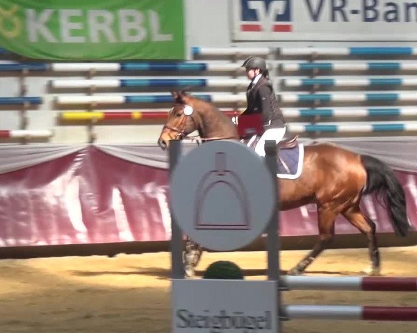 Springturnier Eicherloh - Laurent 2016