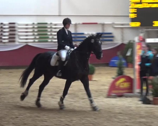 Springturnier Eicherloh - Laurent 2016
