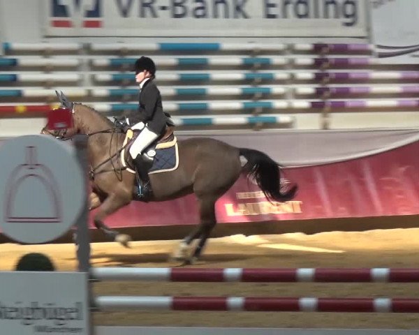 Springturnier Eicherloh - Laurent 2016