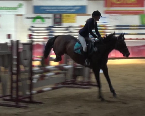 Springturnier Eicherloh - Laurent 2016