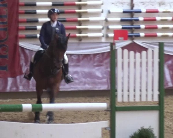 Springturnier Eicherloh - Laurent 2016