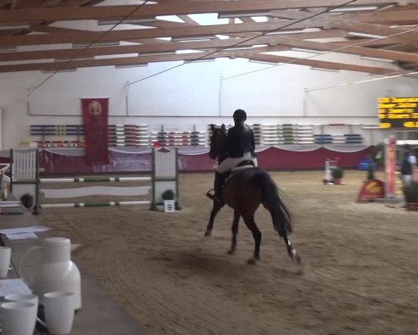 Springturnier Eicherloh - Laurent 2016