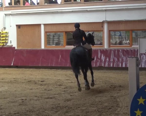 Springturnier Eicherloh - Laurent 2016