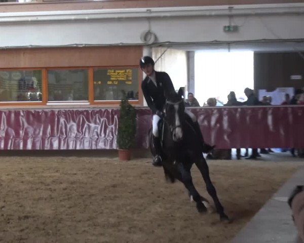 Springturnier Eicherloh - Laurent 2016