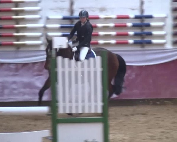 Springturnier Eicherloh - Laurent 2016