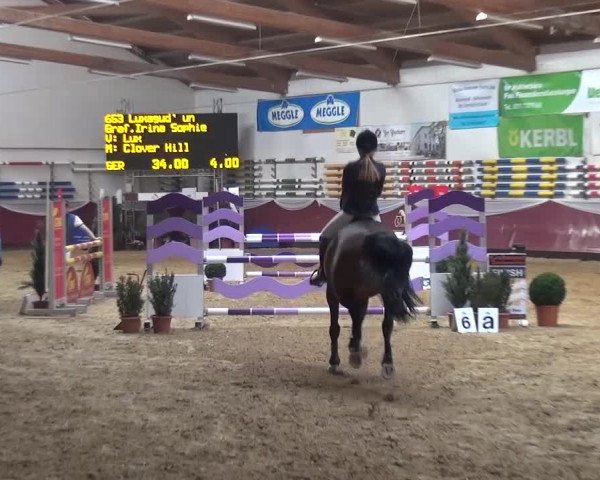 Springturnier Eicherloh - Laurent 2016
