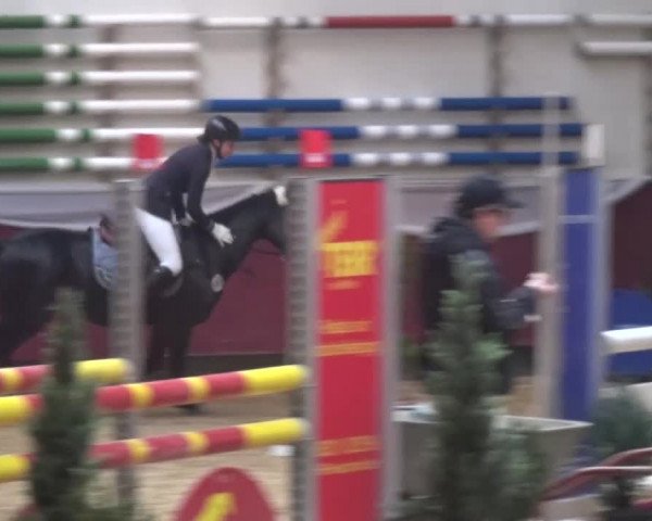 Springturnier Eicherloh - Laurent 2016