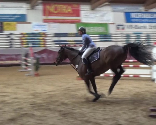 Springturnier Eicherloh - Laurent 2016