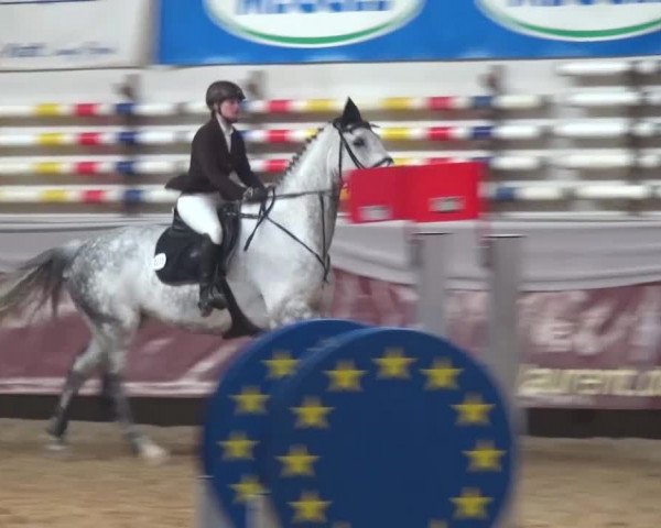 Springturnier Eicherloh - Laurent 2016