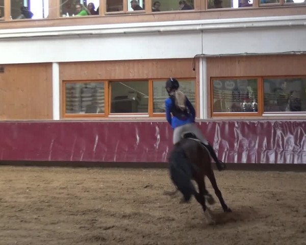 Springturnier Eicherloh - Laurent 2016