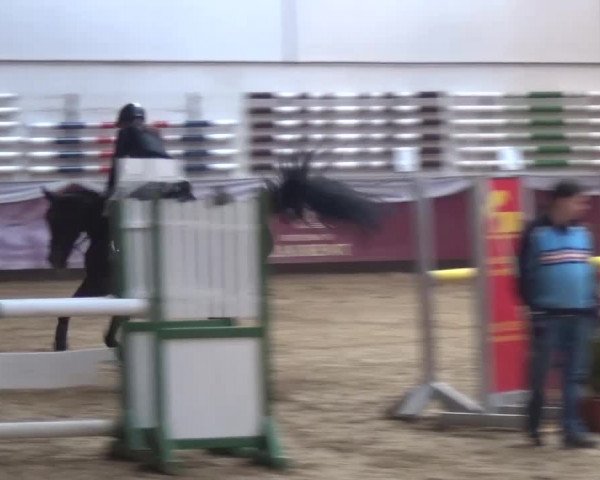 Springturnier Eicherloh - Laurent 2016