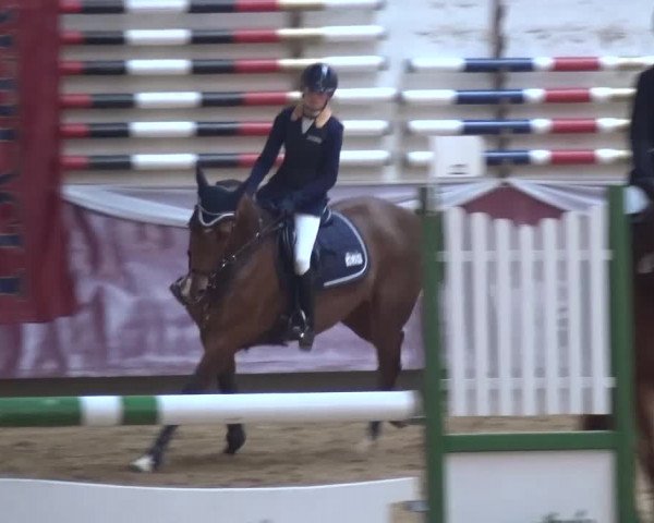 Springturnier Eicherloh - Laurent 2016