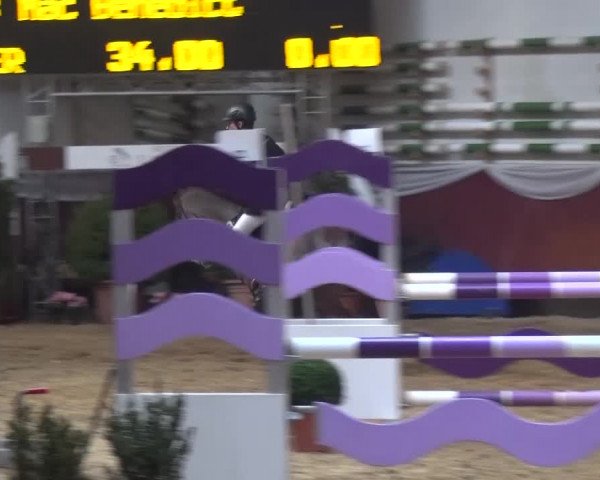 Springturnier Eicherloh - Laurent 2016