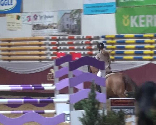 Springturnier Eicherloh - Laurent 2016