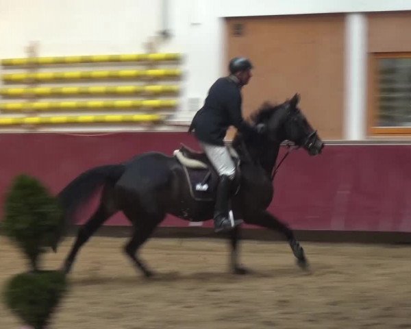 Springturnier Eicherloh - Laurent 2016