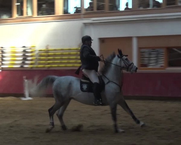 Springturnier Eicherloh - Laurent 2016