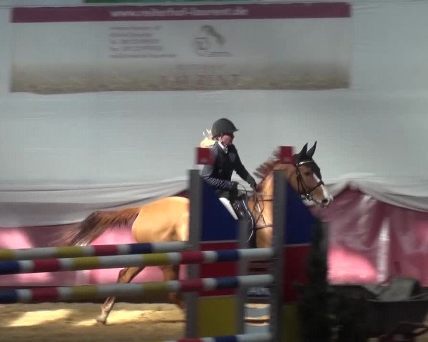 Springturnier Eicherloh - Laurent 2016