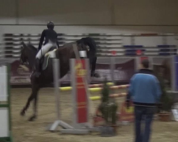 Springturnier Eicherloh - Laurent 2016