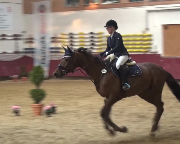 Springturnier Eicherloh - Laurent 2016