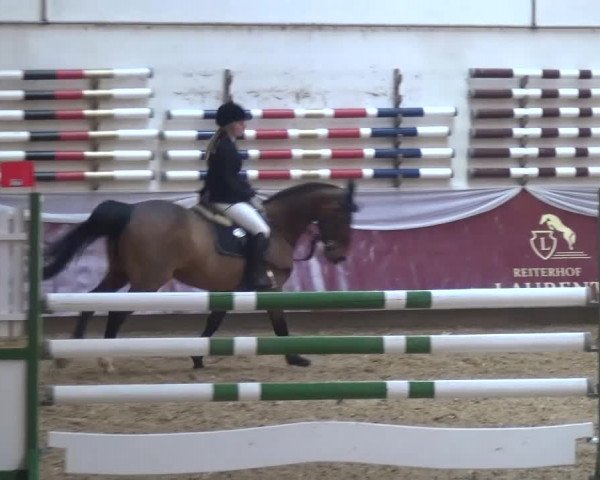 Springturnier Eicherloh - Laurent 2016