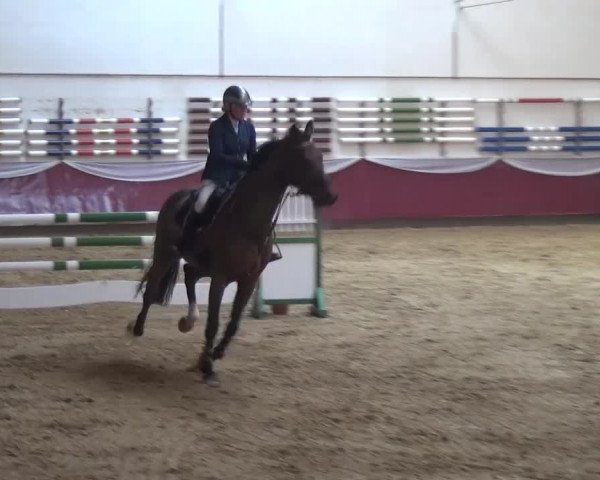 Springturnier Eicherloh - Laurent 2016