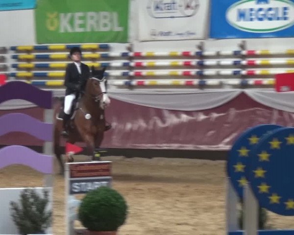 Springturnier Eicherloh - Laurent 2016