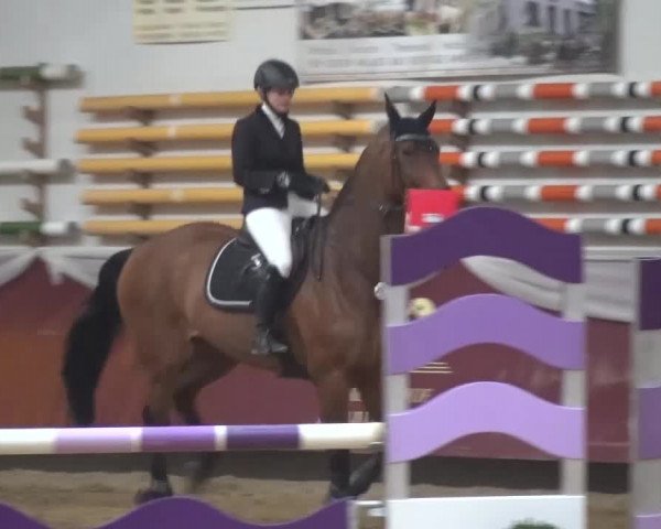 Springturnier Eicherloh - Laurent 2016