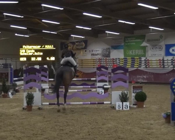 Springturnier Eicherloh - Laurent 2016